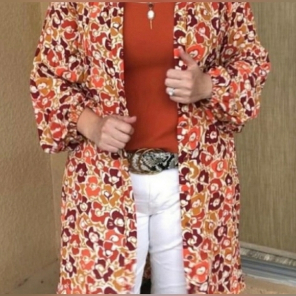 CAbi "Daydream" A-Line Midi Dress Size Medium, Style #4238, Colorful, Autumn - Picture 14 of 14